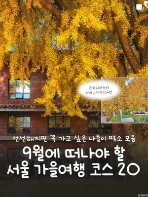 지역 맛집 채널 게시물 예시